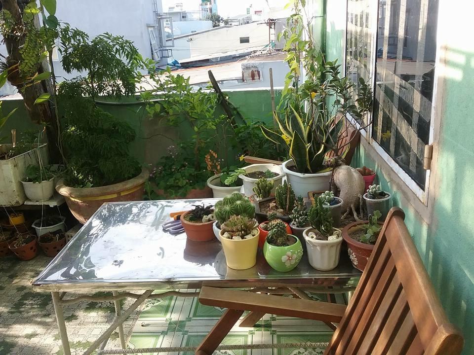 Nha Minh Homestay Danang Exterior photo