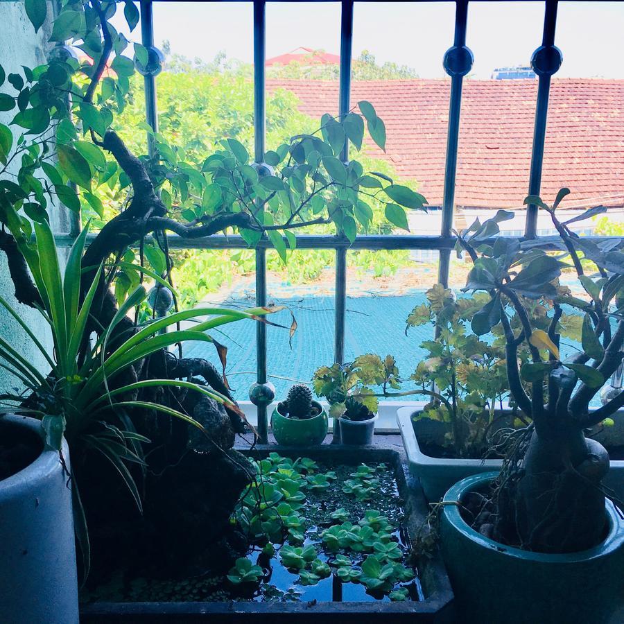 Nha Minh Homestay Danang Exterior photo